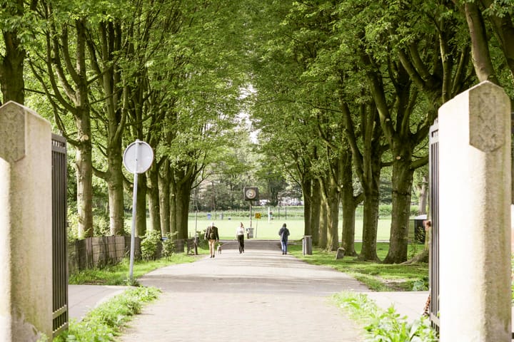 Foto 19 van Orteliusstraat 289-3A