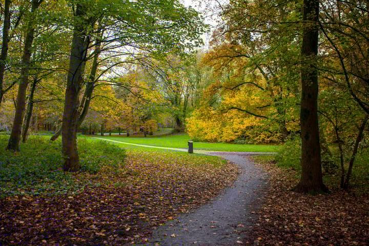 Foto 25 van Orteliusstraat 289-3A