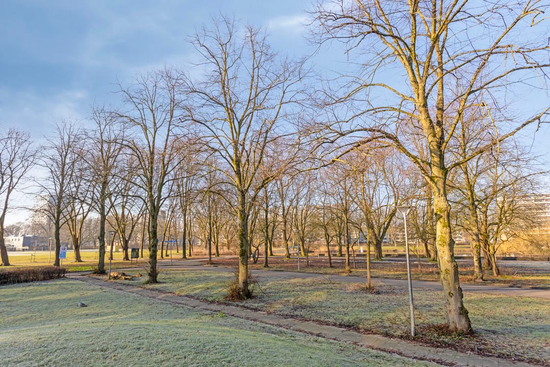 Foto 23 van Cor Vlotlaan 21