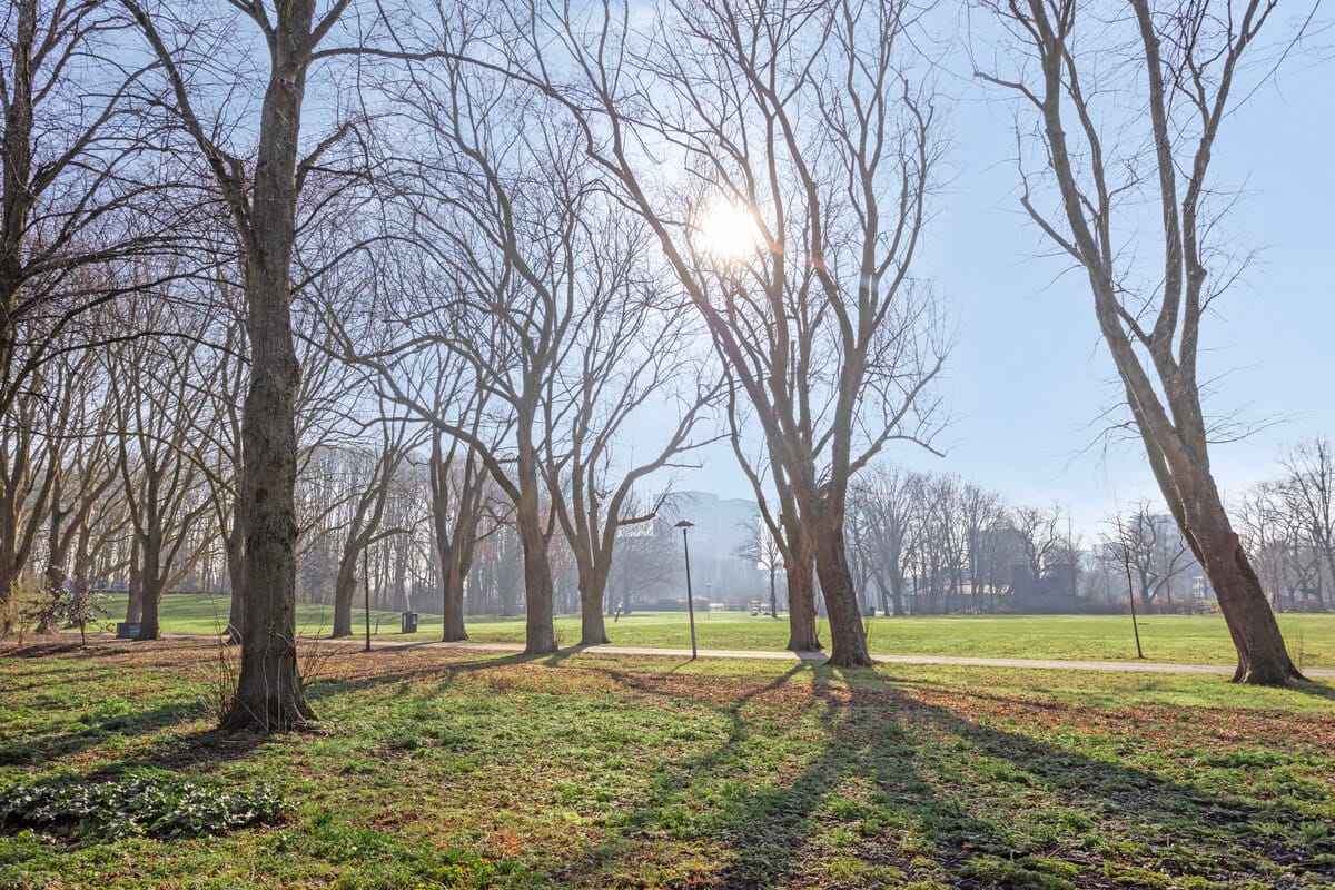 Foto 33 van Cor Vlotlaan 21