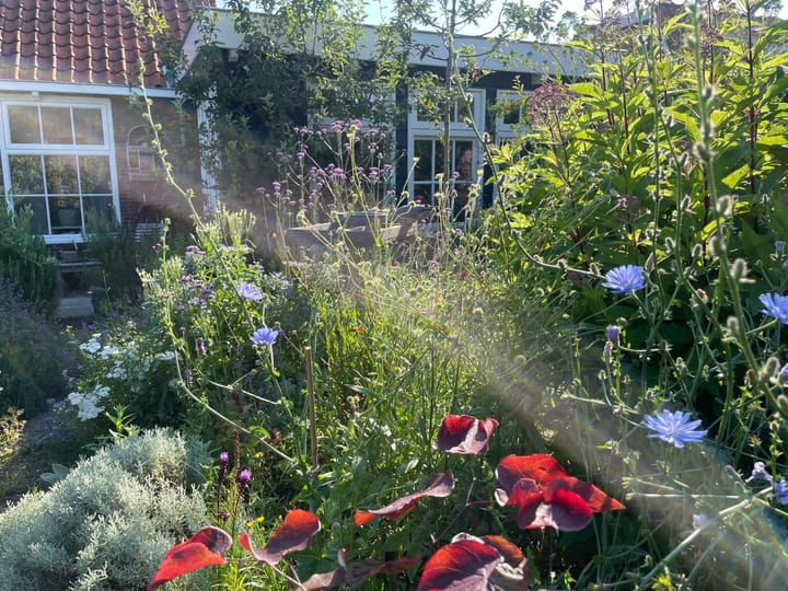 Foto 2 van Tuinpad 39