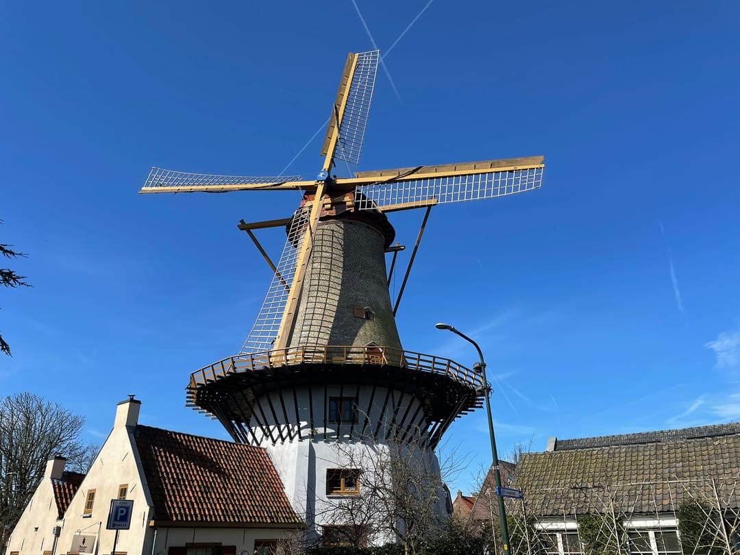 Foto 37 van Tuinpad 39