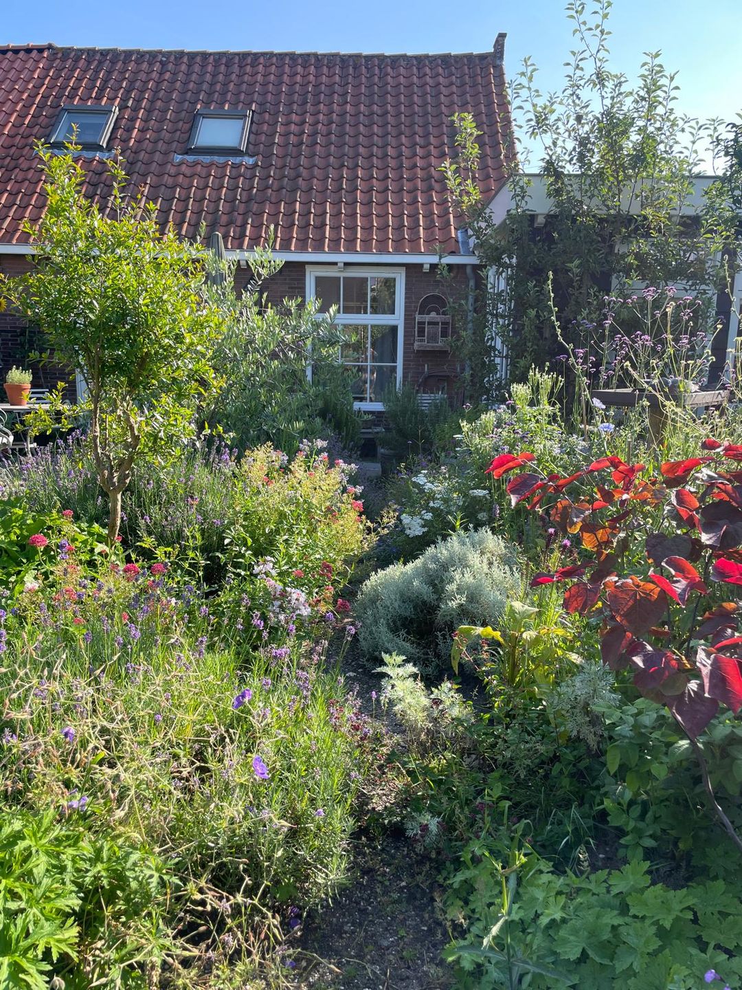 Foto 41 van Tuinpad 39