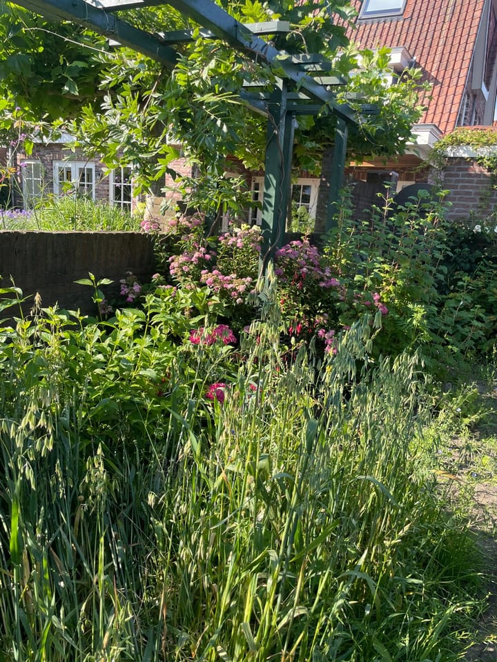 Foto 42 van Tuinpad 39