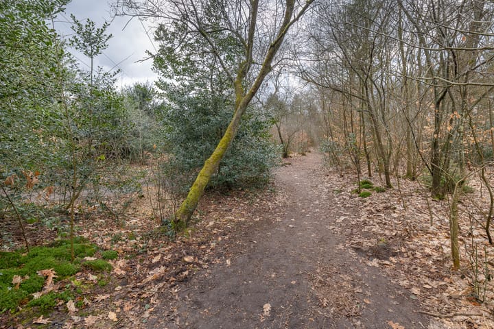 Foto 59 van Hertenlaan 22