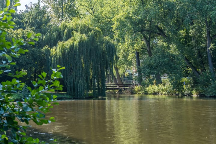 Foto 28 van Krammerstraat 13-1