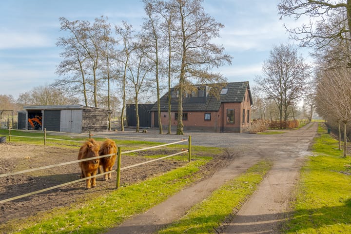 Photo 9 of Harkereed 17