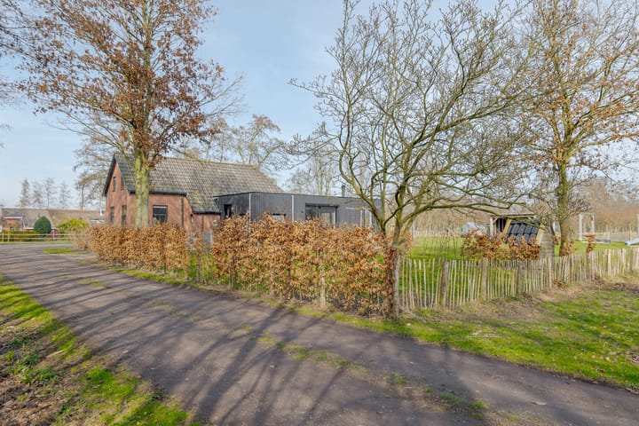 Photo 53 of Harkereed 17