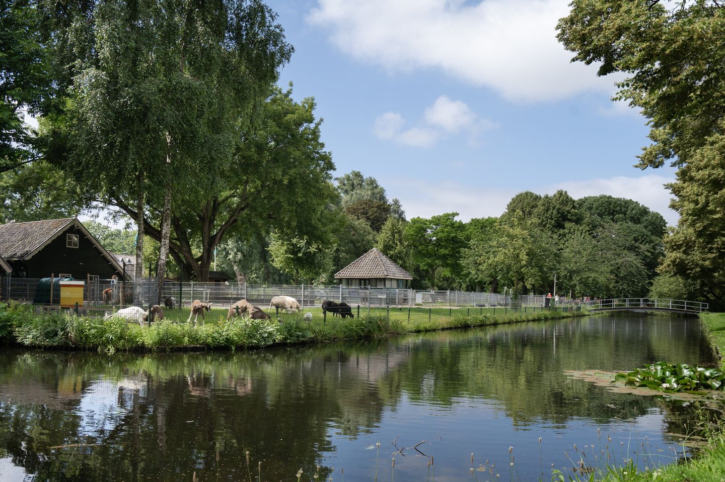 Foto 34 van Herenstraat 41-D