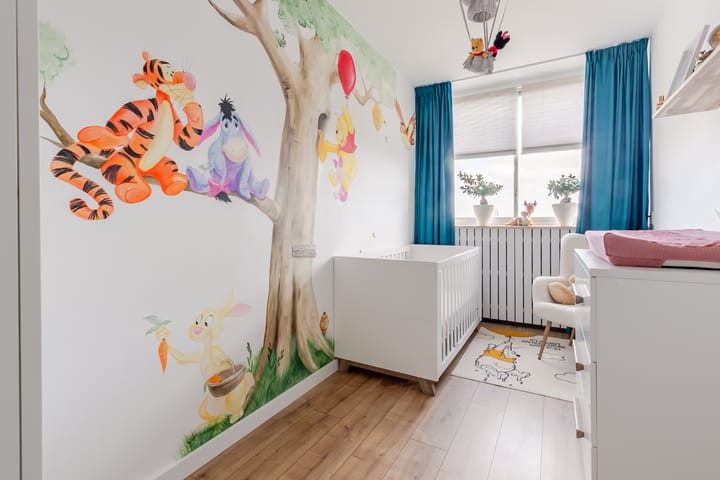 Foto 20 van Adama van Scheltemaplein 46