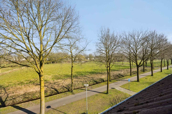 Foto 5 van Appeldijk 14