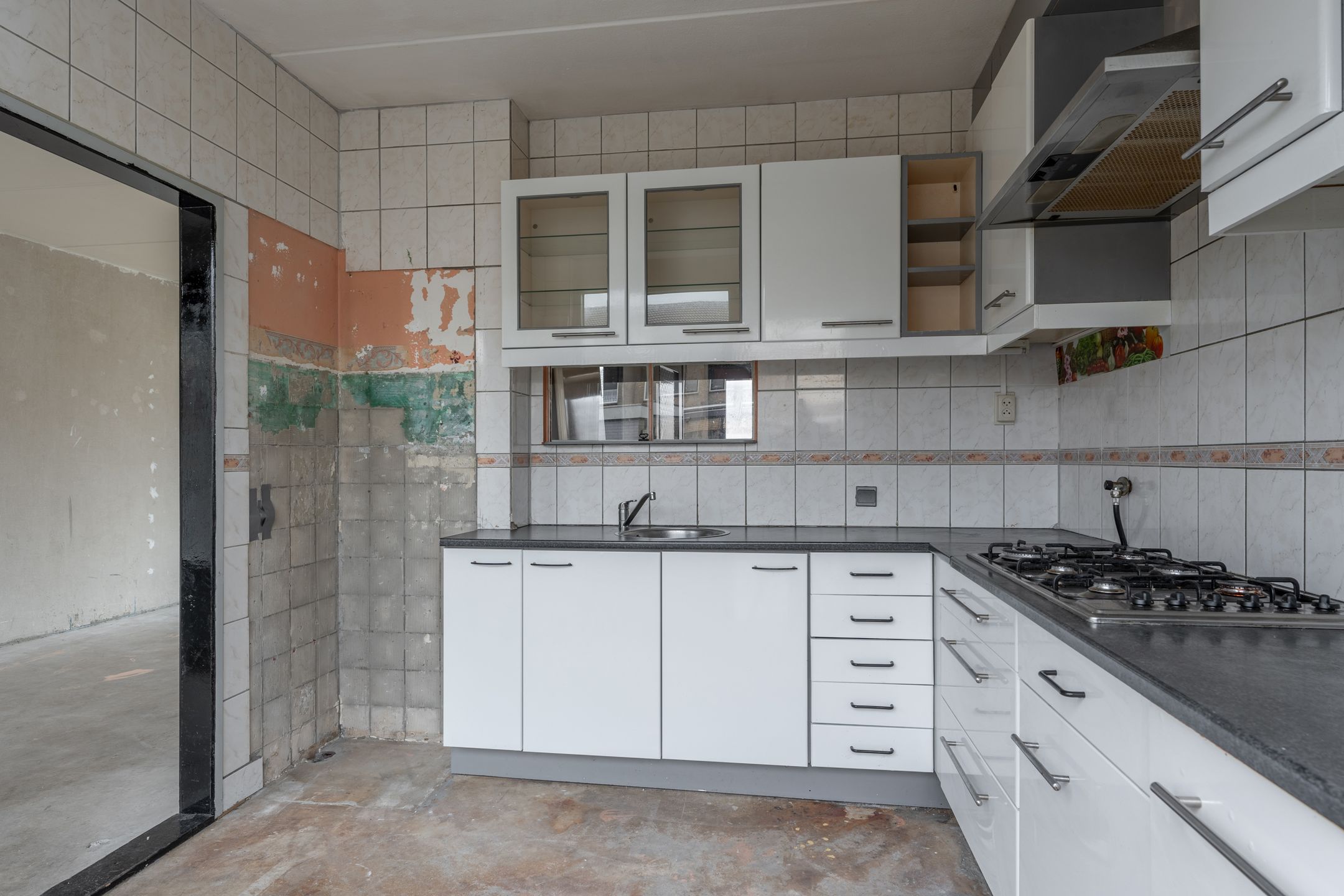 Foto 9 van Kikkerveen 410