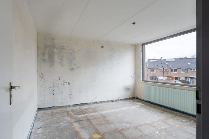 Foto 12 van Kikkerveen 410