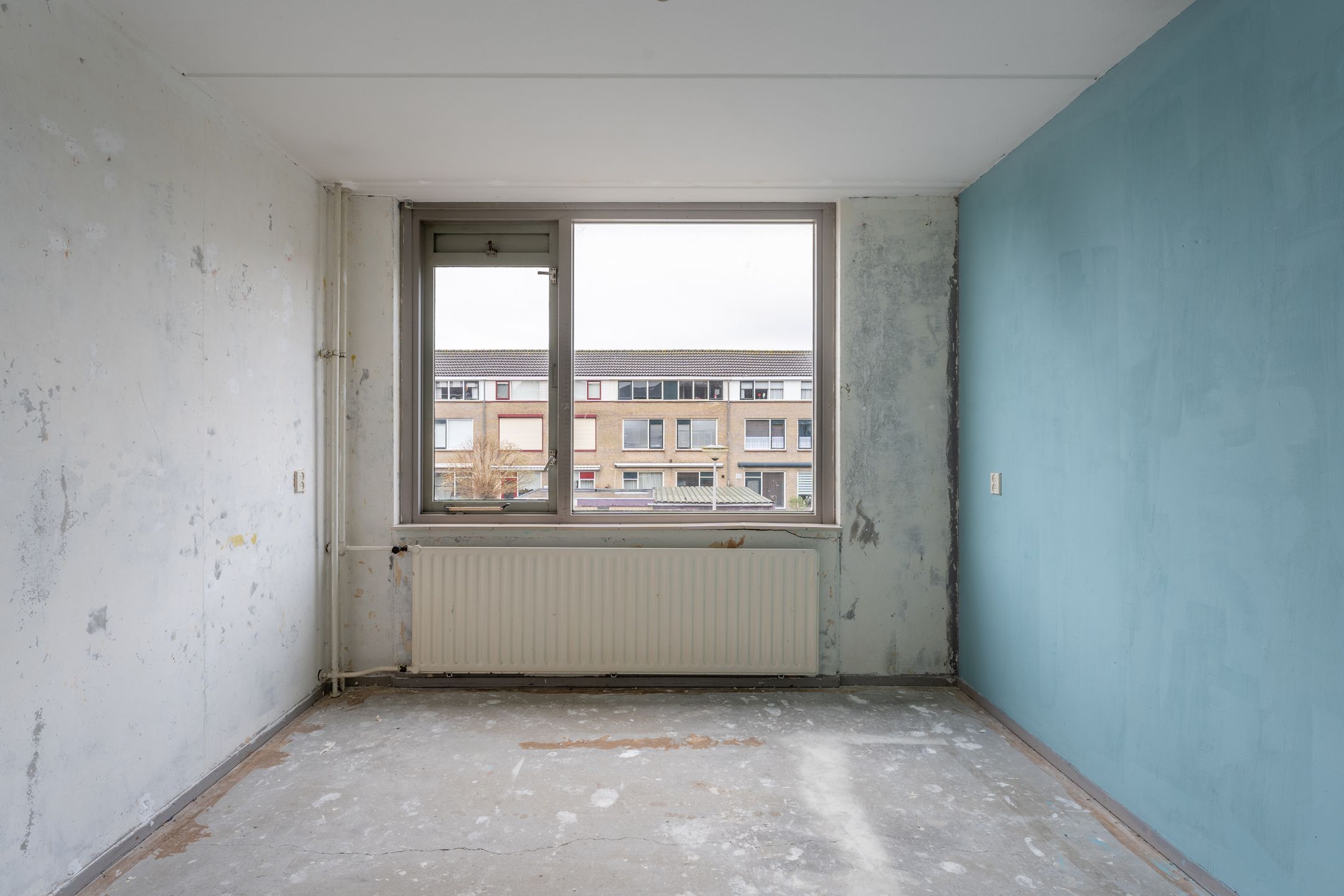 Foto 18 van Kikkerveen 410