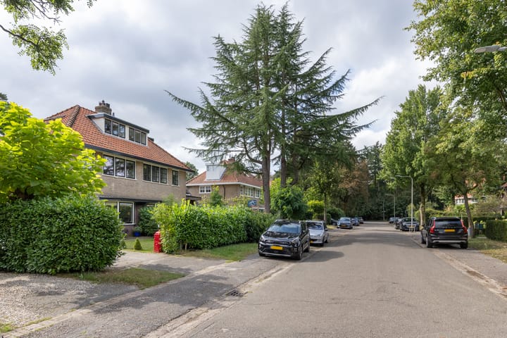 Foto 50 van Ernst Casimirlaan 8