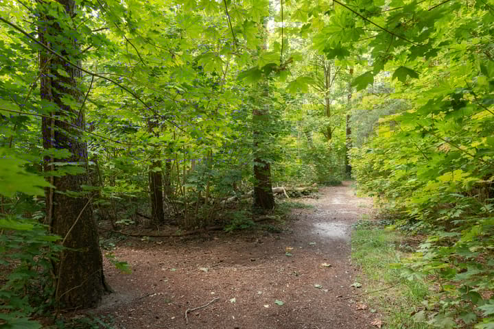 Foto 51 van Ernst Casimirlaan 8