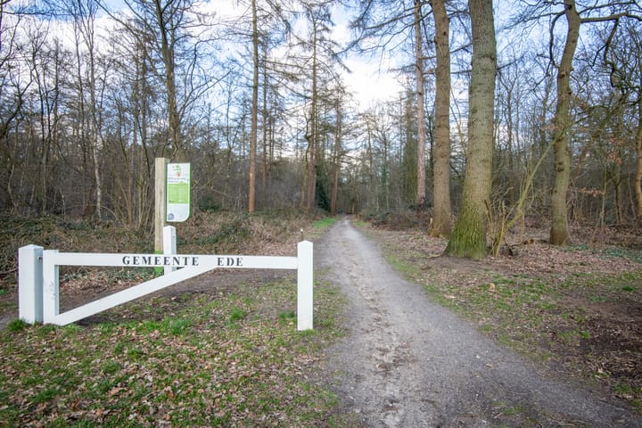 Foto 35 van Singel 4