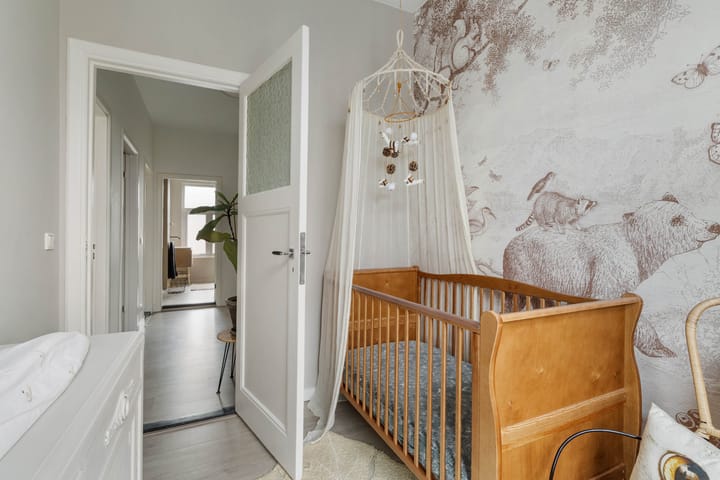 Foto 30 van Driehoefijzersstraat 11