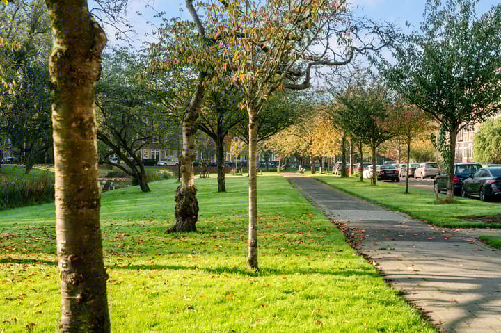 Foto 5 van Nolensstraat 32-A02