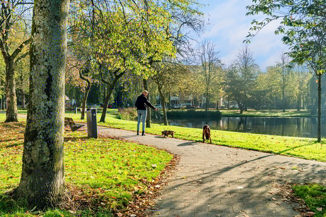 Foto 22 van Nolensstraat 32-A02