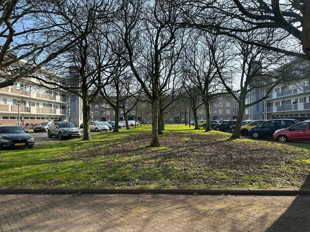 Foto 7 van Heringa-State 16