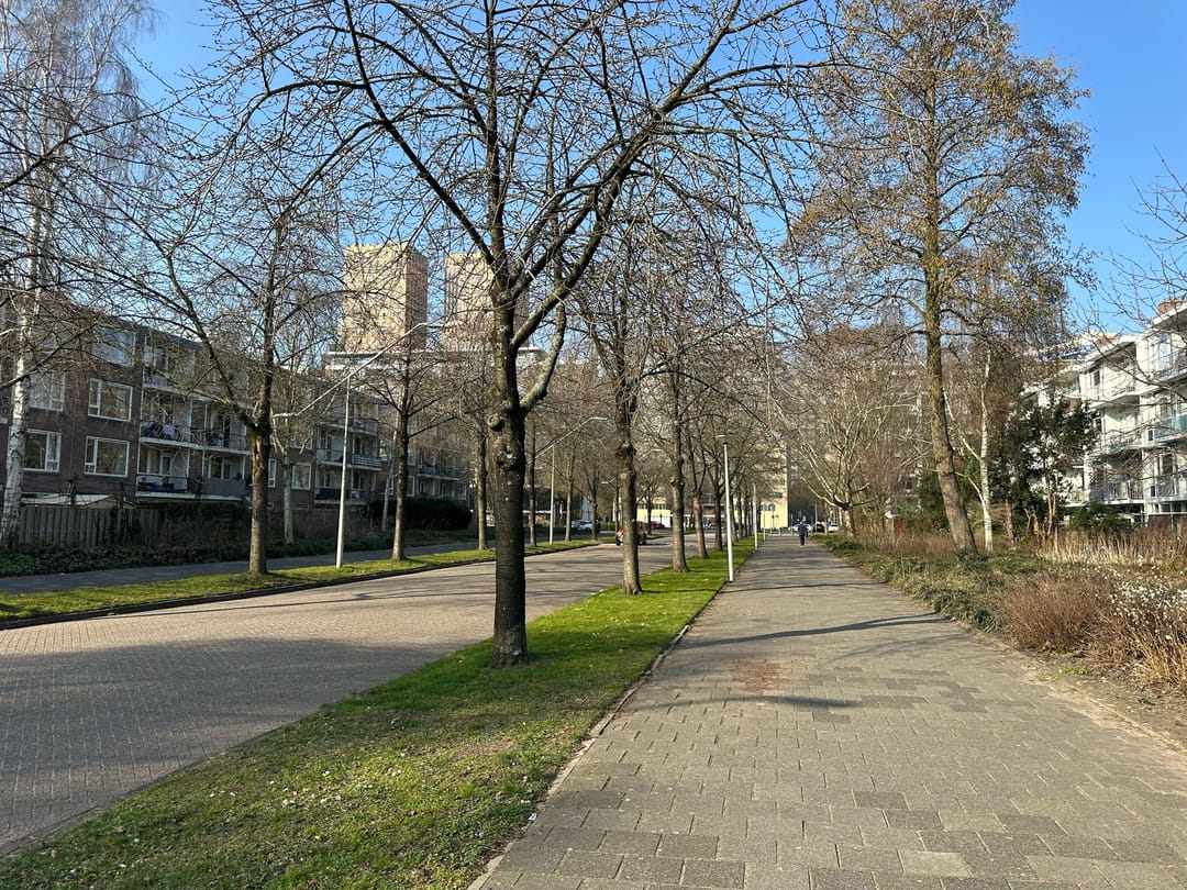 Foto 11 van Heringa-State 16