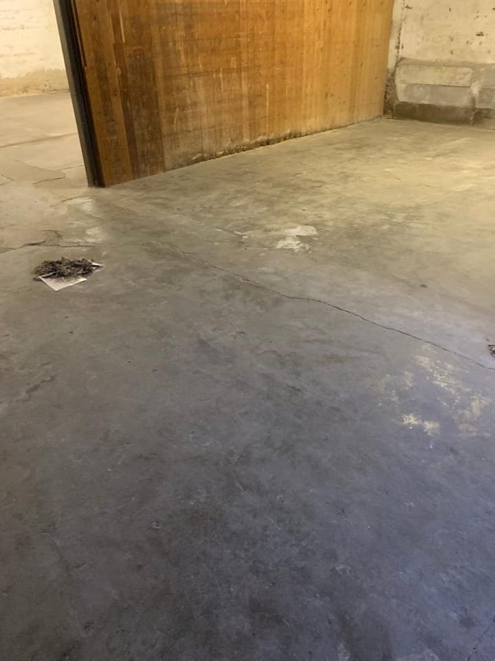 Foto 10 van Diepenstraat 50