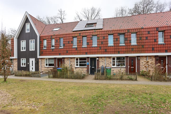 undefined main image