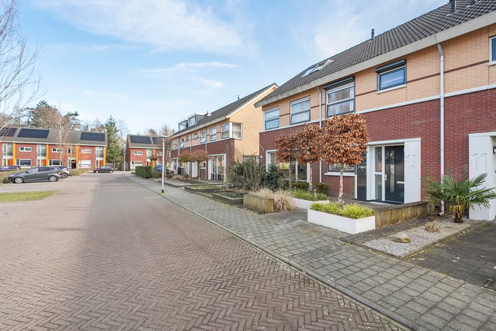 Foto 4 van Mesdagstraat 13