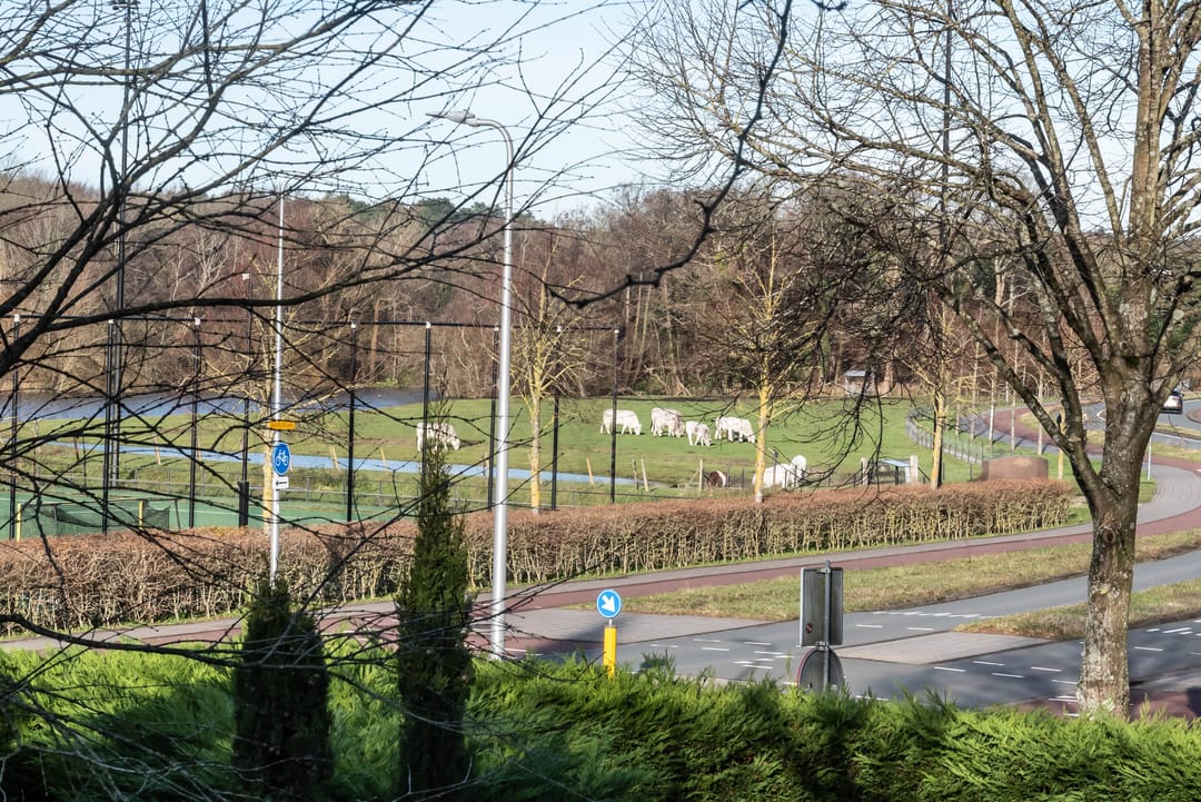 Foto 41 van Donkerelaan 2