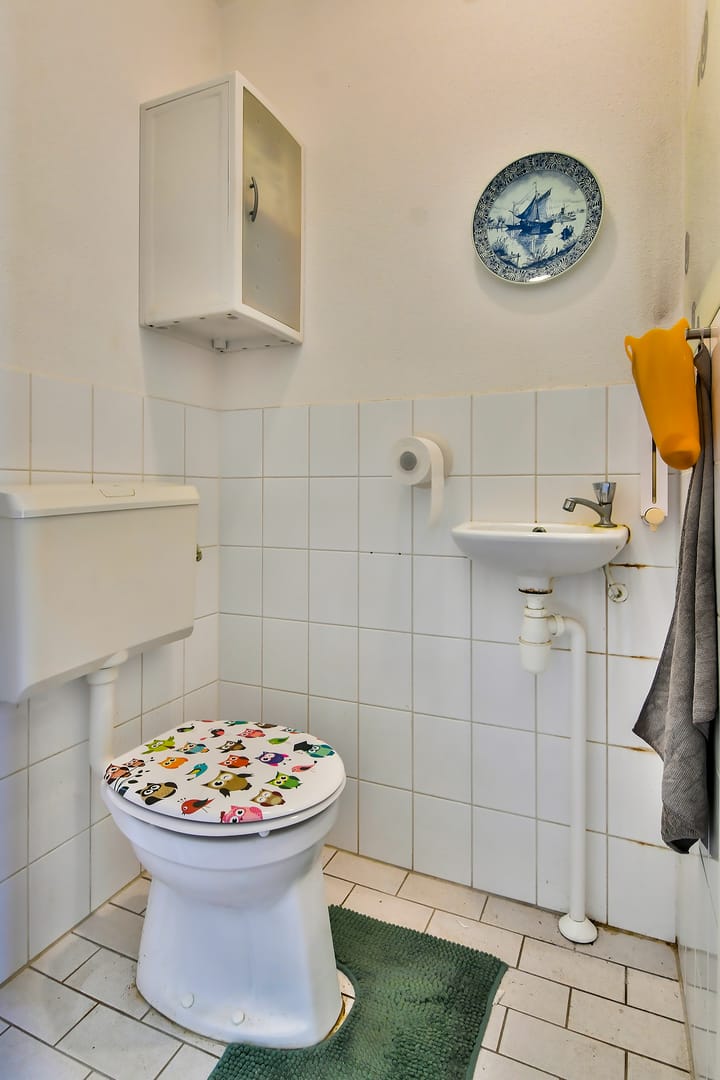 Foto 4 van Rheezerveld 10