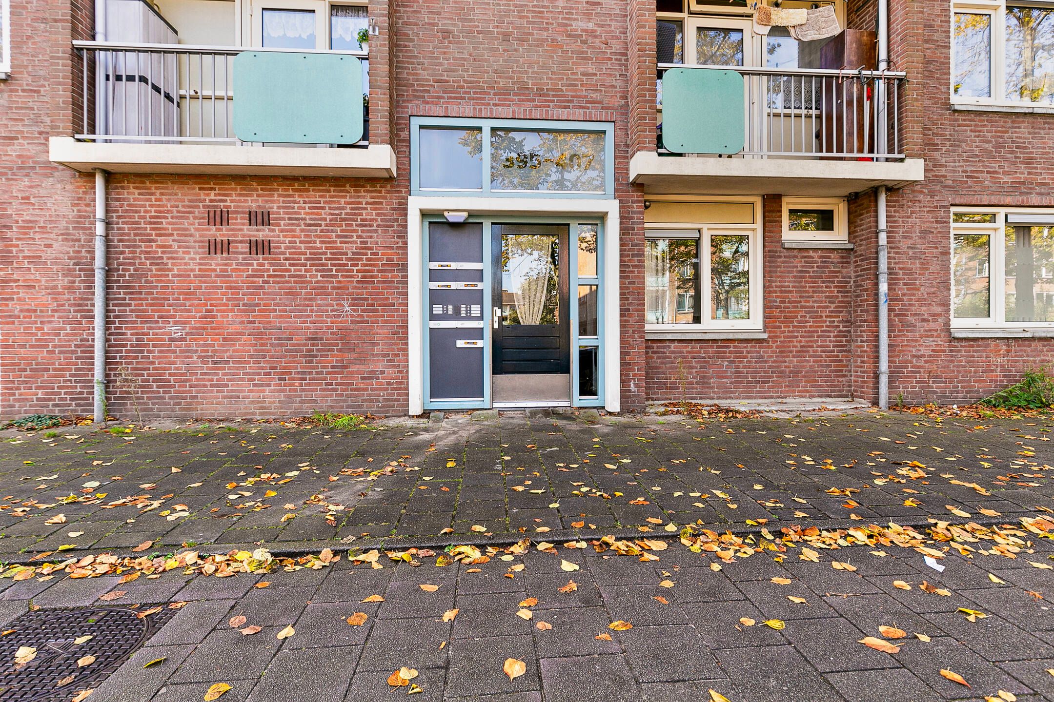 Photo 6 of Werengouw 407