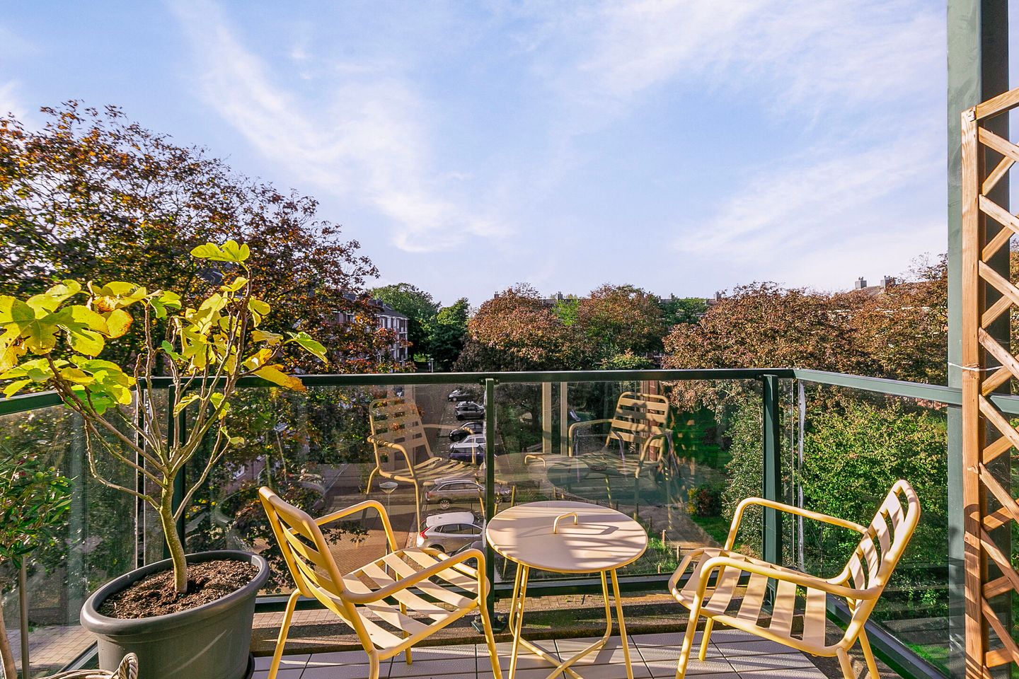 Photo 34 of Werengouw 407