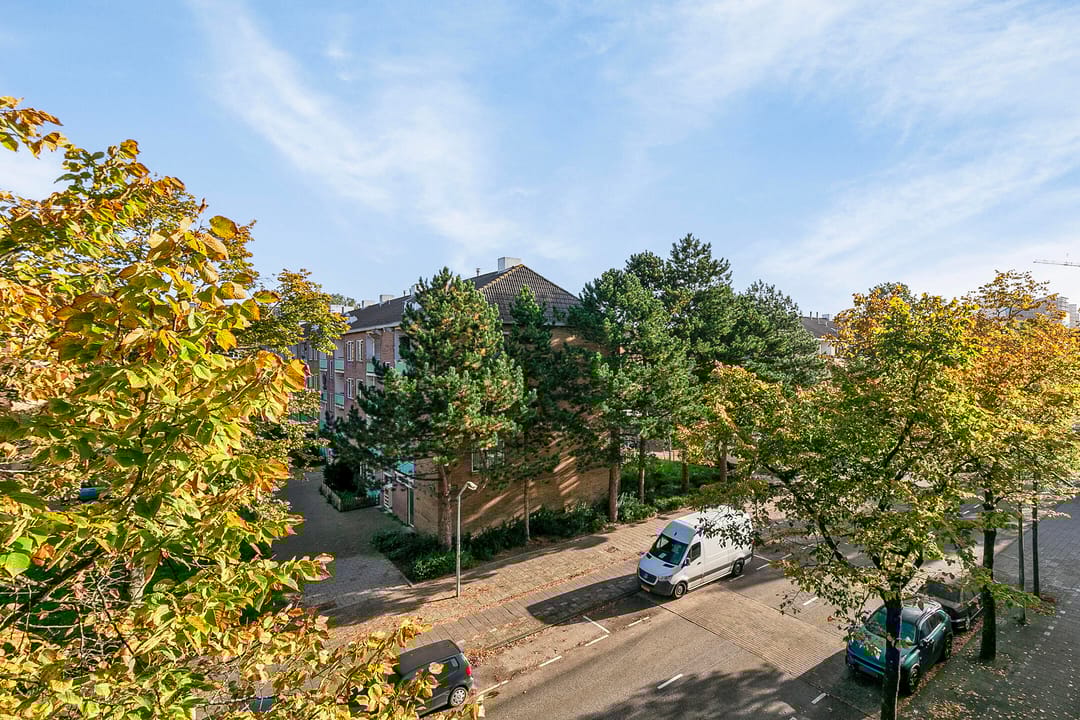 Photo 38 of Werengouw 407