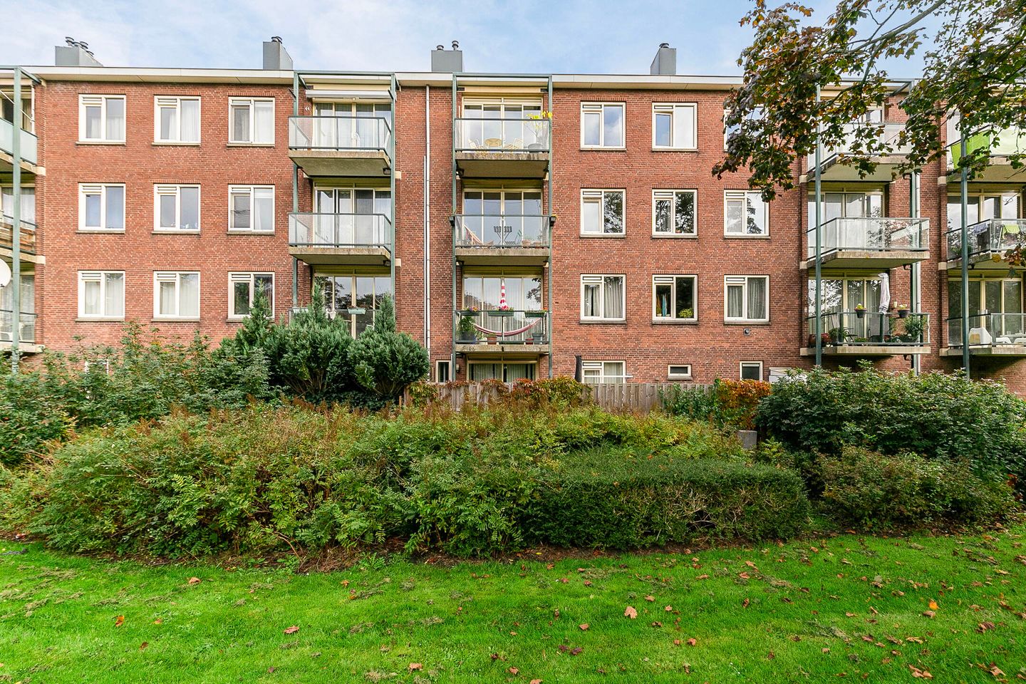 Photo 40 of Werengouw 407