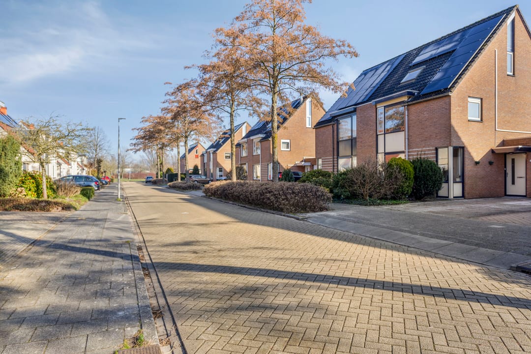 Foto 7 van Marimba 29