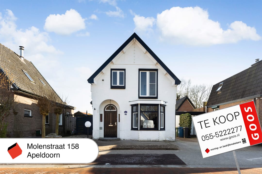 Foto 46 van Molenstraat 158