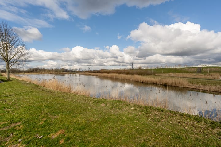 Foto 6 van Regenboog 216