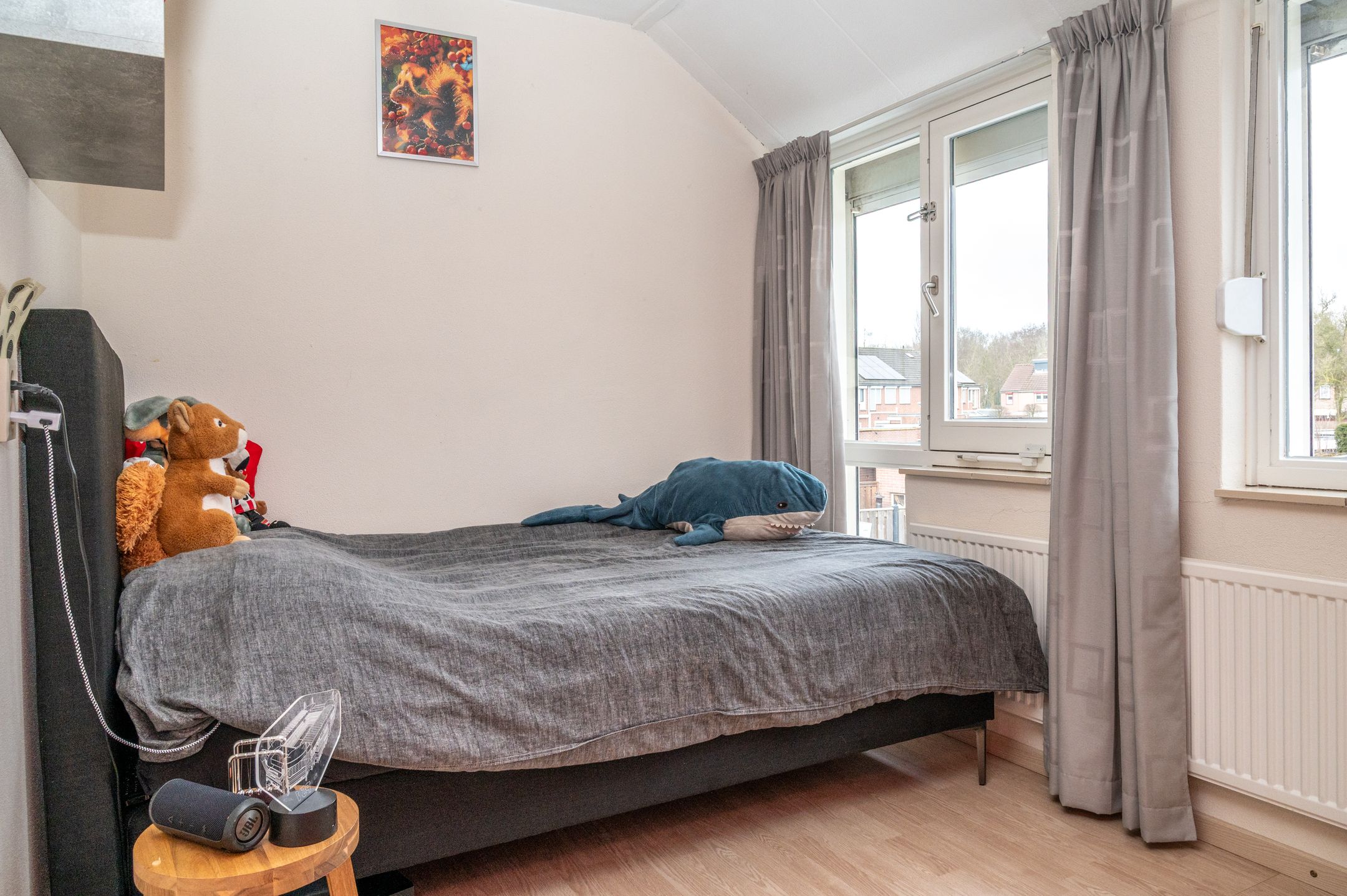 Foto 21 van Sleedoorn 23