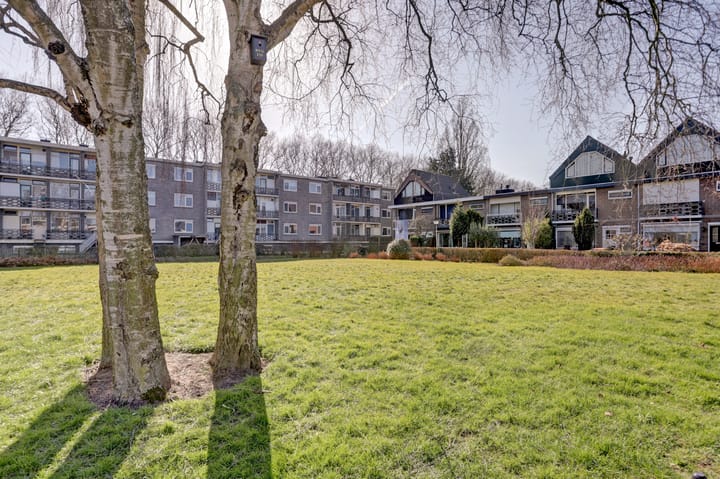 Foto 3 van Mr. Thorbeckestraat 30