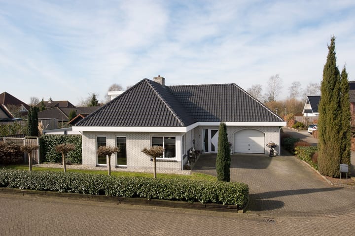 Foto 1 van Zilverreiger 15