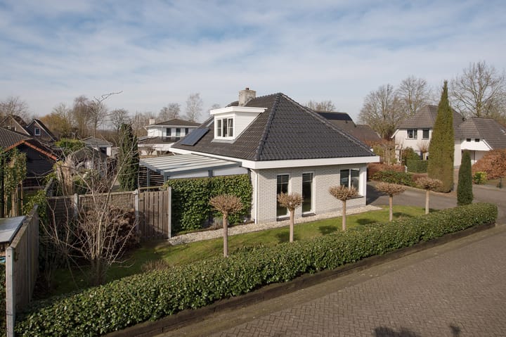 Foto 7 van Zilverreiger 15