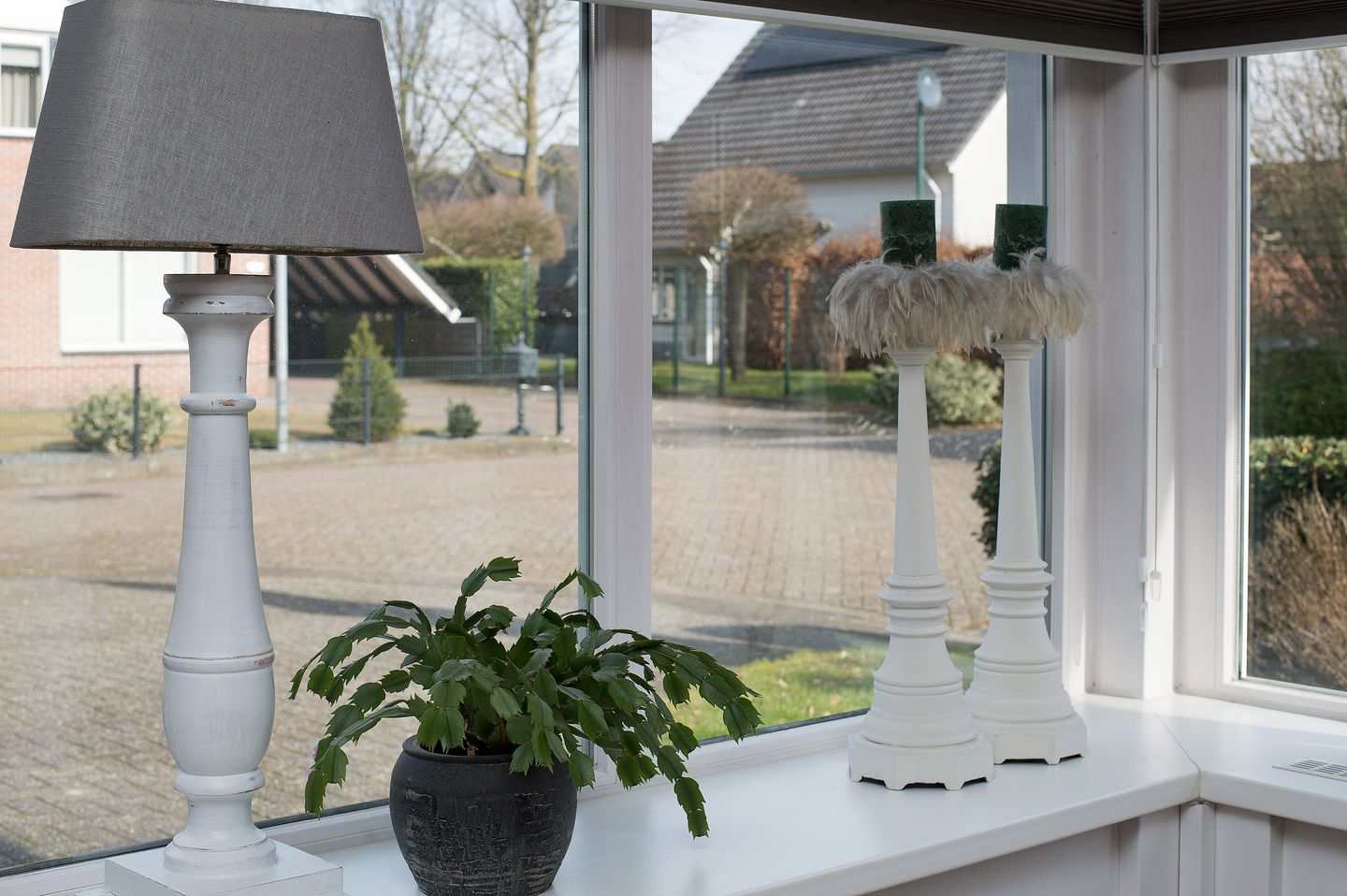 Foto 10 van Zilverreiger 15