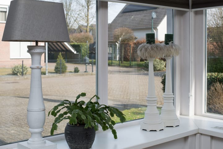 Foto 10 van Zilverreiger 15