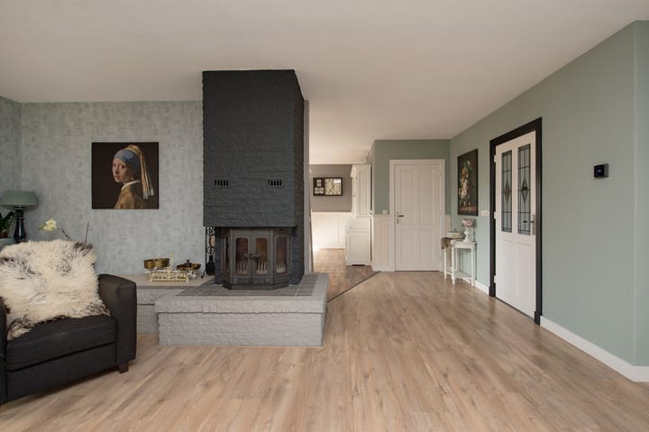 Foto 15 van Zilverreiger 15