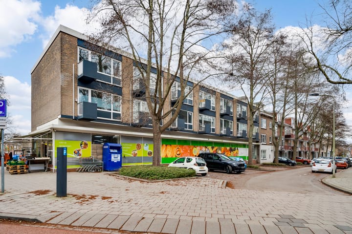 Foto 1 van Holsteinbastion 35-C