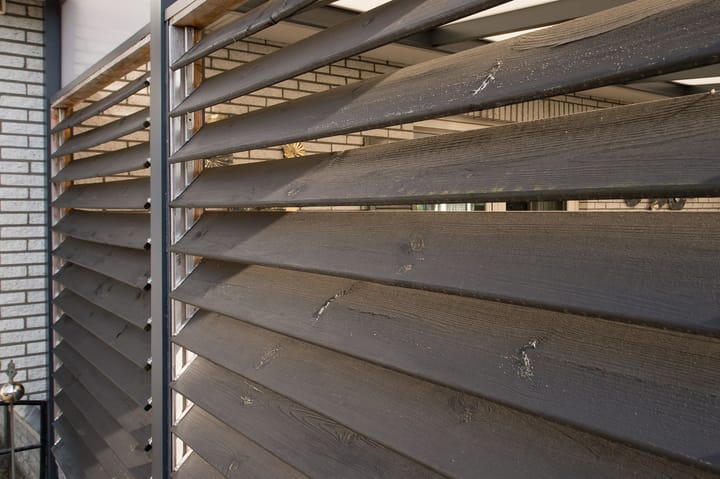 Foto 59 van Zilverreiger 15