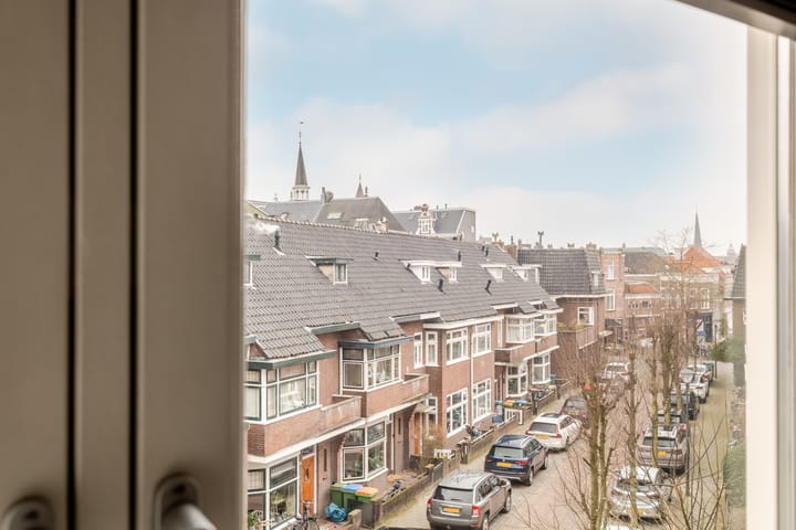 Foto 50 van Dr. van Mierlostraat 21