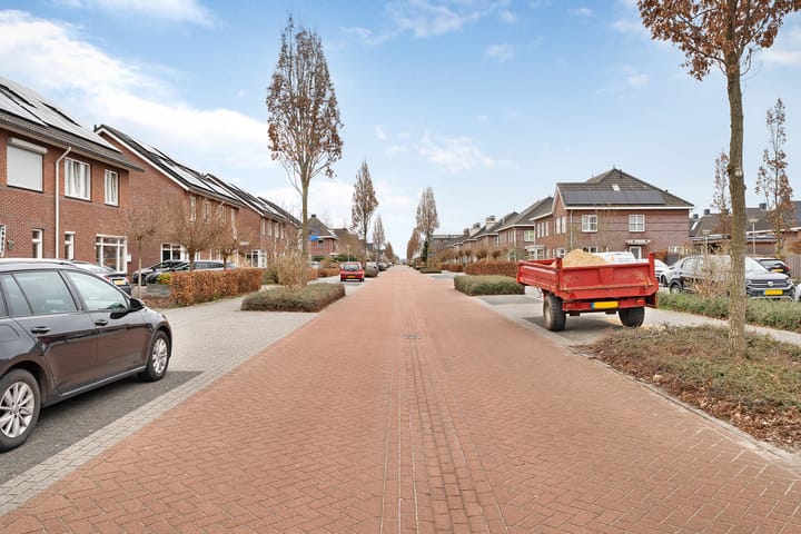 Foto 16 van Edelinckstraat 6