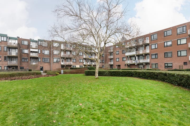 Foto 29 van Sumatrastraat 123-B